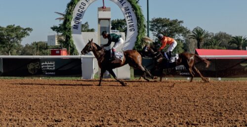 course de chevaux au maroc