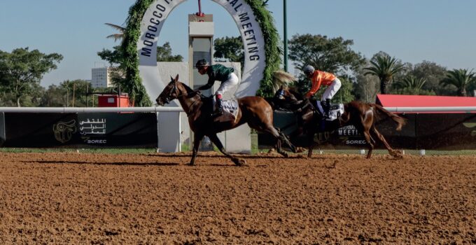 course de chevaux au maroc