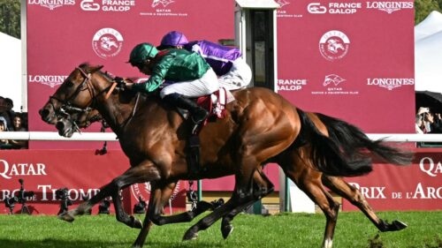 Les paris hippiques en danger