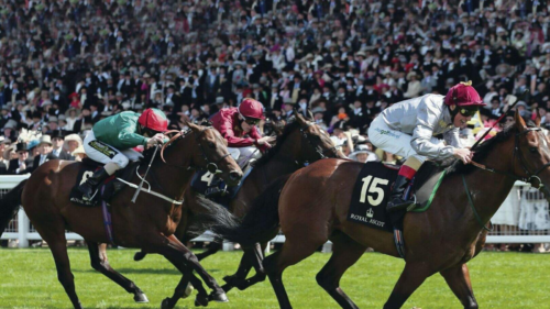 Hippisme